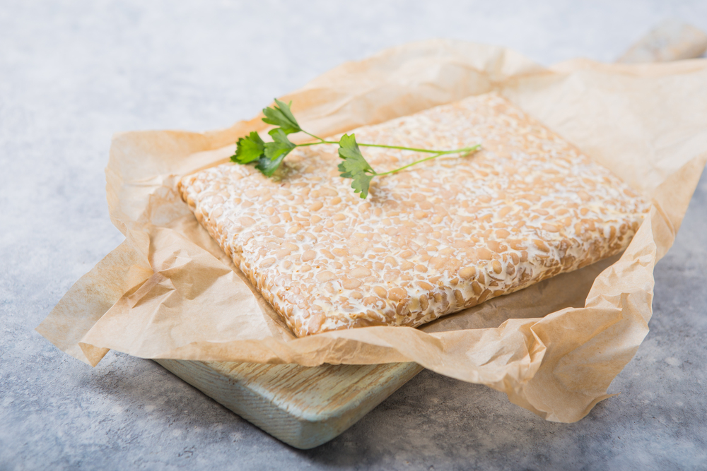 Home Tempeh Business Opportunities and Processed Food Business Ideas