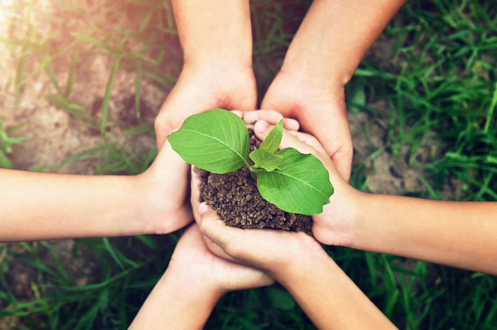 20+ Ways to Live an Environmentally Friendly Lifestyle and Their Benefits