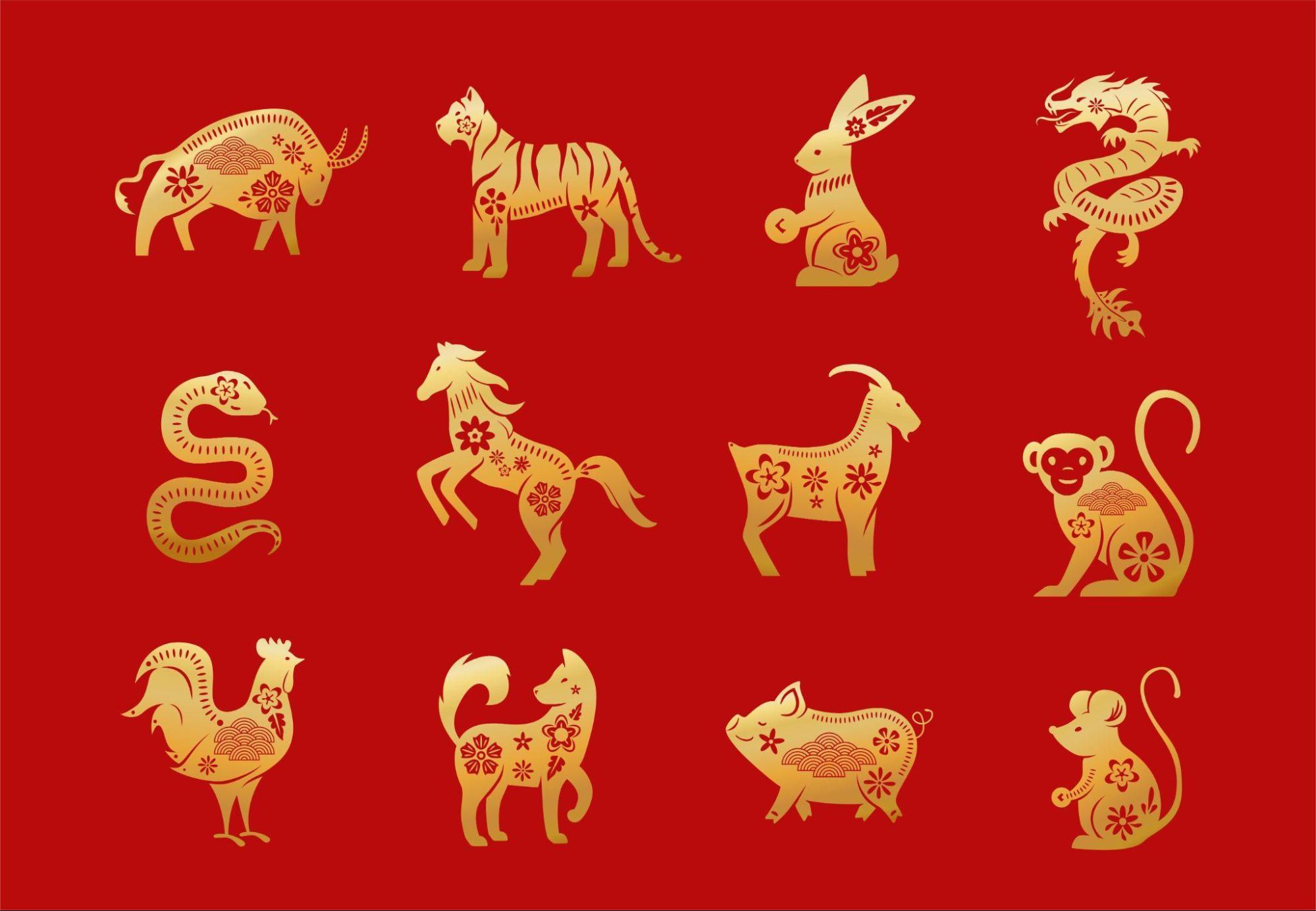 Reading Someone's Personality Based on Chinese Zodiac Signs: Is it Accurate?