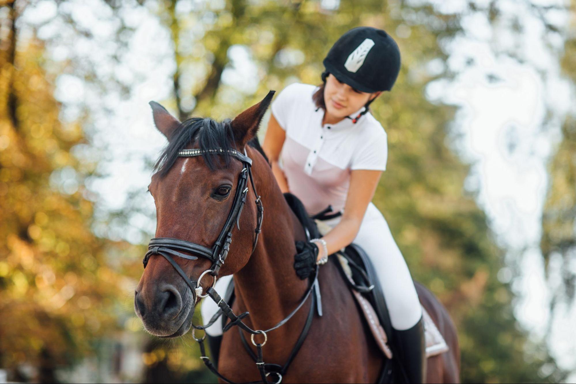 Learn More About Polo, What Are Its Benefits?