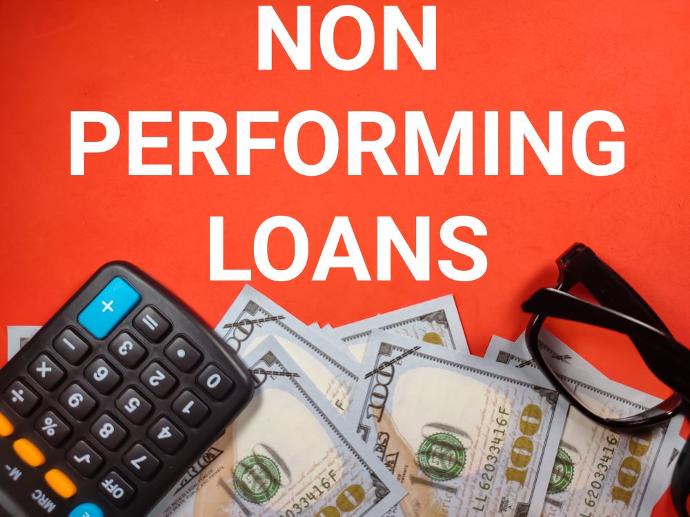 Non Performing Loans: Meaning, Causes, Calculation Formula, and Impact